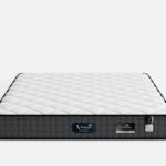 dm01系列 亲肤针织面料 舒柔海绵+天然乳胶 精钢整网邦尼尔弹簧 透气3d面料 22cm床垫