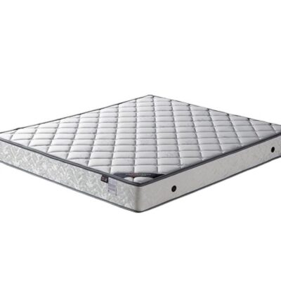 3d椰棕a款 乳胶b款 邦尼尔弹簧 亲肤防螨针织面料 22cm床垫