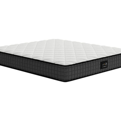 dm系列1号垫环保棕款 亲肤针织面料 透气3d面料 精钢整网邦尼尔弹簧 22cm床垫