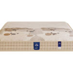 c013乐轩 抗菌防螨面料 2分高密度海绵 2公分椰棕 邦尼尔弹簧 22cm偏硬床垫（