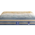 c020忆秋 高档提花针织纯绵面料 透气4d底面 2分高密度海绵 2分天然乳胶 邦尼尔弹簧 23cm床垫