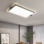 吸顶灯系列 现代客厅大灯简约大气家用吸顶灯